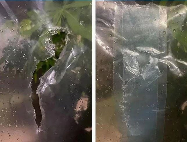 Taśma do folii szklarniowej naprawcza 50mmx10m transparentna