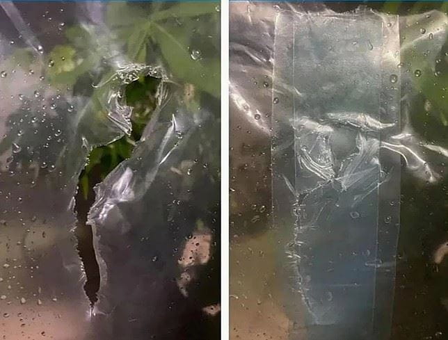 Taśma do folii szklarniowej naprawcza 100mmx10m transparentna